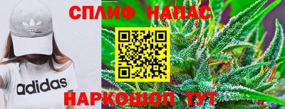 ГАЛЛЮЦИНОГЕННЫЕ ГРИБЫ Коммунар