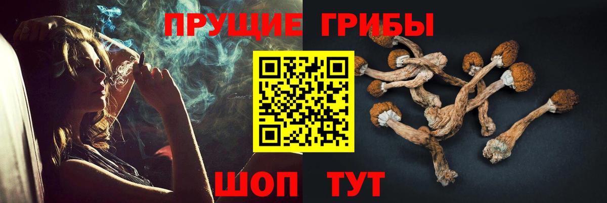 Галлюциногенные грибы MAGIC MUSHROOMS  Вход с VPN  Псилоцибиновые грибы Cubensis  Кизилюрт 