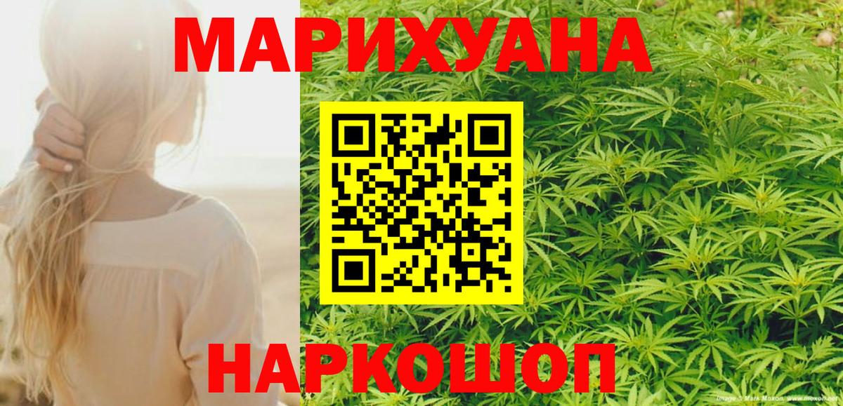 Бошки Шишки план Кизилюрт